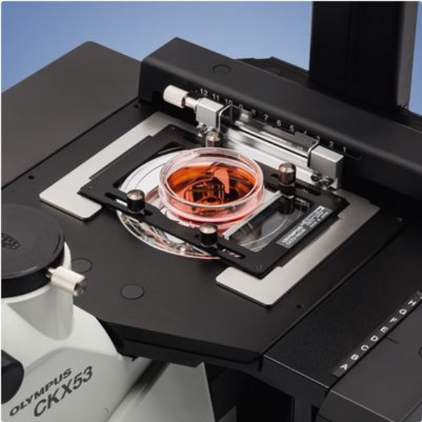 Evident Olympus Omgekeerde microscoop Olympus CKX53 Hellfeld V2, trino, infinity, plan, achro, 2x, 4x, 10x, LED