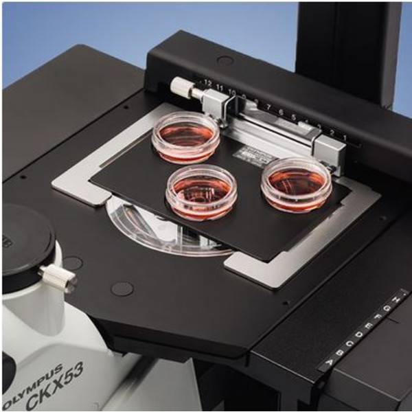 Evident Olympus Microscopio invertido Olympus CKX53 Hellfeld V2, trino, infinity, plan, achro, 2x, 4x, 10x, LED