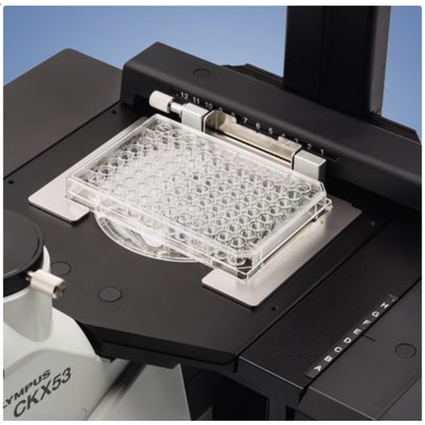 Evident Olympus Microscopio invertito Olympus CKX53 IPC/IVC V1, PH, trino, infinity, achro, 10x, 20x, 40x, LED