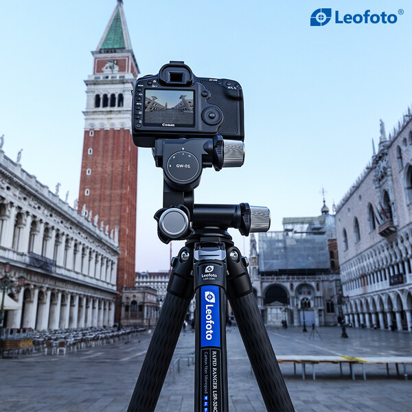 Leofoto Geared tripod head GW-01