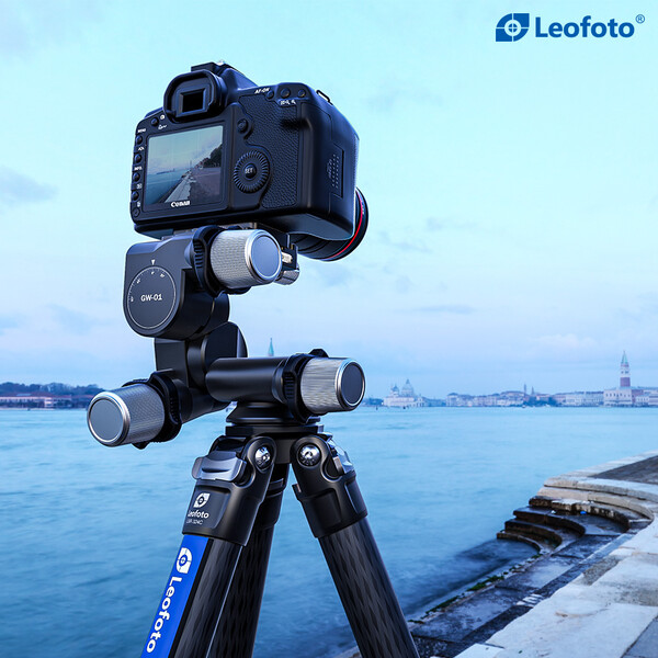 Leofoto Geared tripod head GW-01