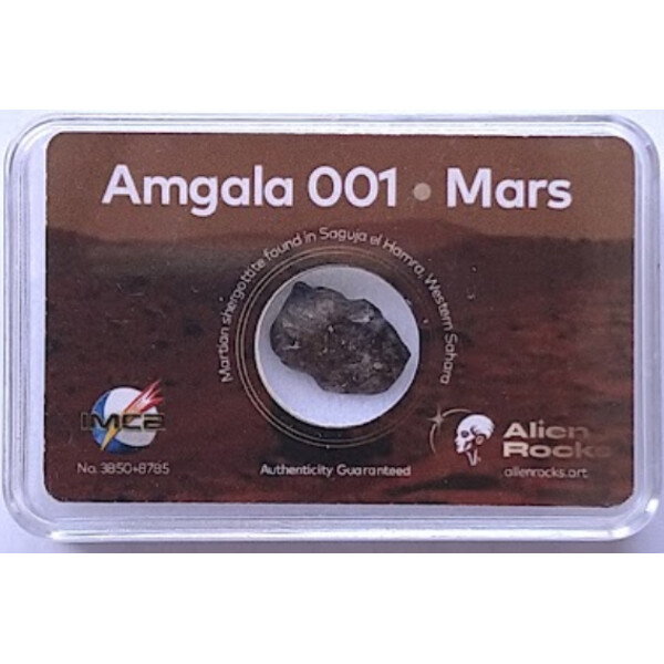 Alien Rocks Mars-Meteorit Amgala 001 0,7 - 0,99 Gramm