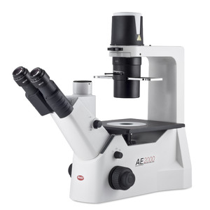 Motic Microscopio invertito AE2000 trino, infinity, 40x-400x, phase, Hal, 30W