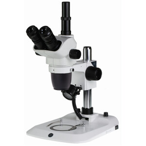 MICROSCOPE MONOCULAIRE EUROMEX XL-XLR / Qualité pro