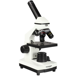 Microscope binoculaire Novex AP-8 - Loupes et microscopes