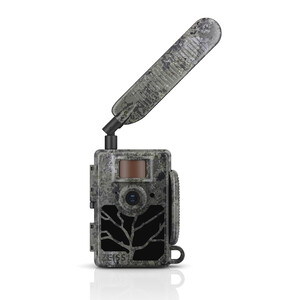 Bushnell Wildlife camera 24MP Prime core prime braun low glow