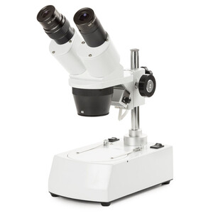 Novex Microscopio stereo Binoculare AP-8