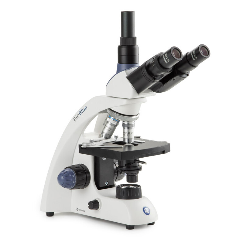 Microscope binoculaire Novex Microblue