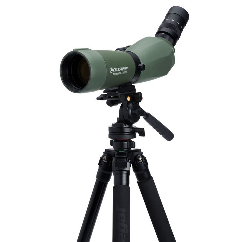 Celestron Catalejo REGAL M2 16-48x65 ED