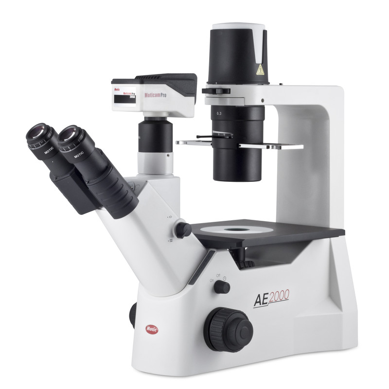 Motic Microscopio invertito AE2000 trino, infinity, 40x-400x, phase, Hal, 30W