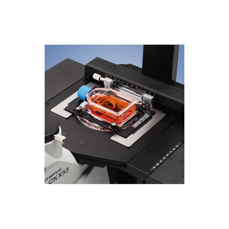 Evident Olympus Microscopio invertito Olympus CKX53 IPC/IVC V1, PH, trino, infinity, achro, 10x, 20x, 40x, LED