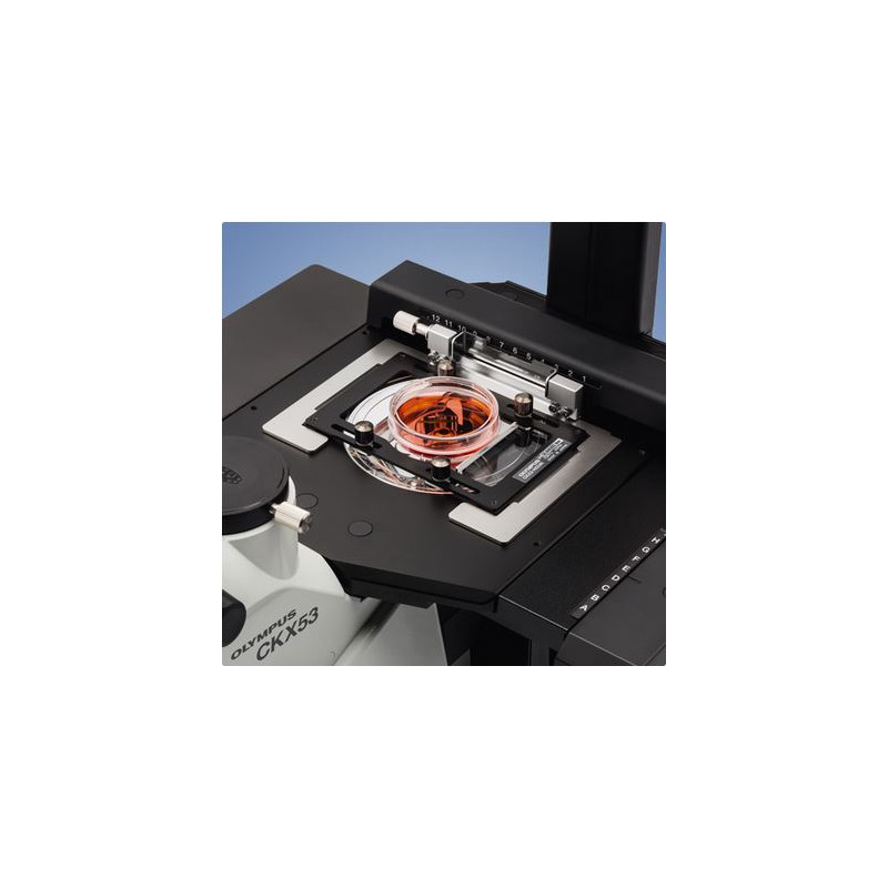 Evident Olympus Microscopio invertido Olympus CKX53 Hellfeld V2, trino, infinity, plan, achro, 2x, 4x, 10x, LED