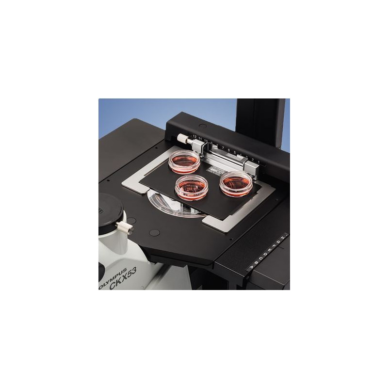 Evident Olympus Microscopio invertido CKX53, trino, 100x, 200x, 400x, IPC/IVC, platina x/y