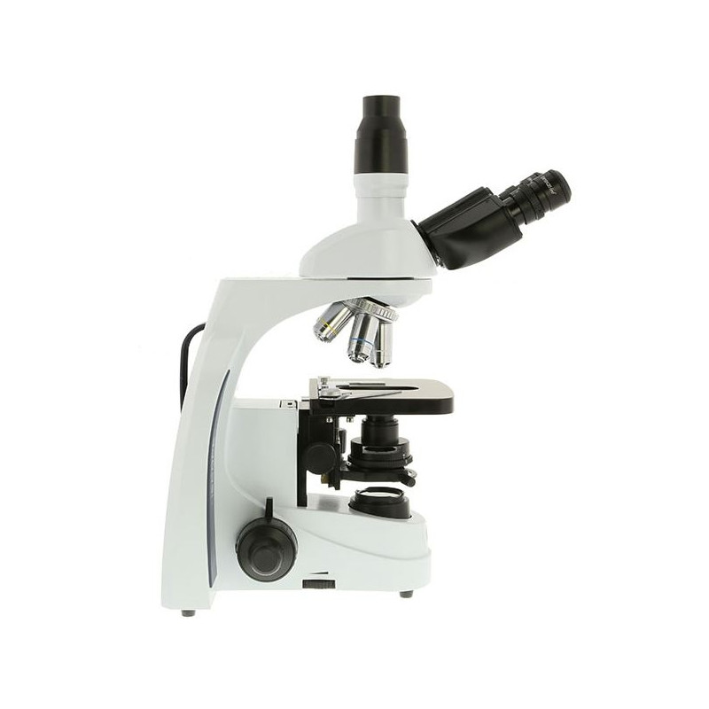 Euromex Microscopio iScope IS.1153-EPLi, trino