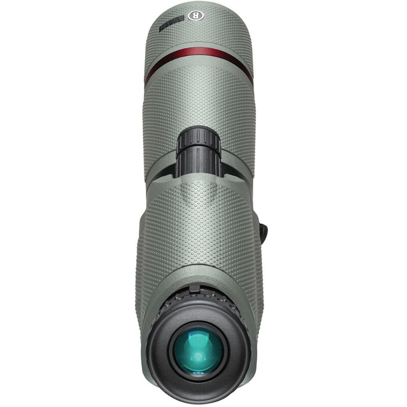 Bushnell Cannocchiali Nitro 20-60x65