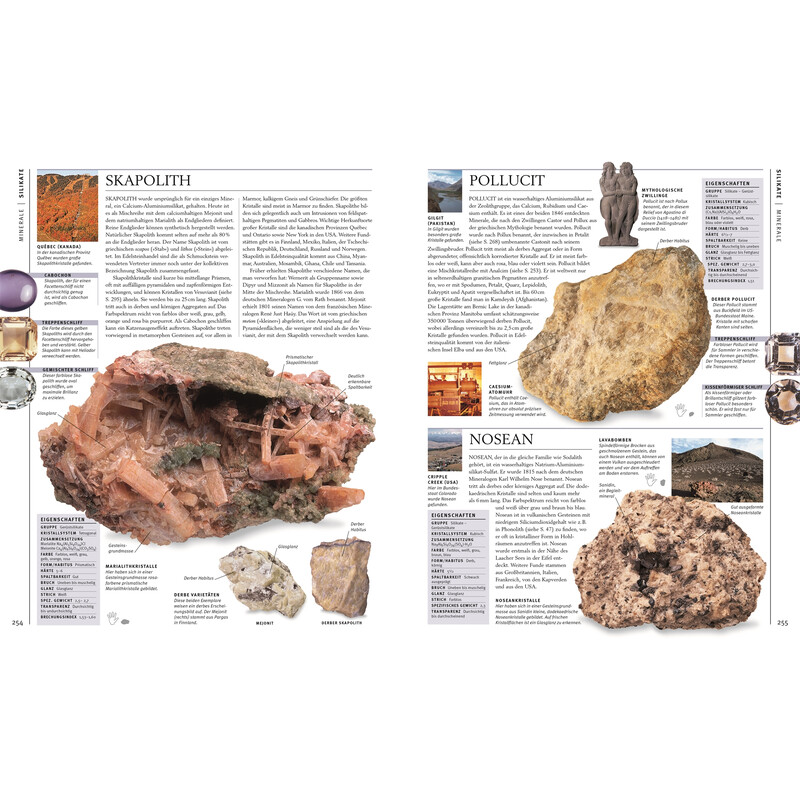 Dorling Kindersley Steiners & Minerals