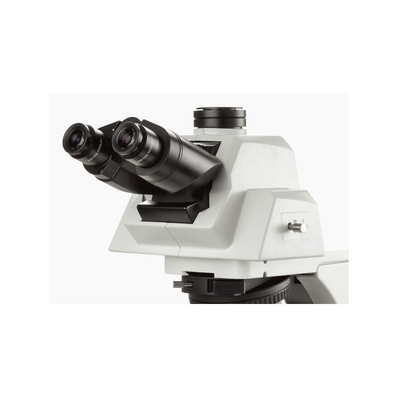 Euromex Microscopio Delphi-X, DX.2158-APLi, trino, 40x - 1000x, Plan semi-apochromat., mit ergonom. Kopf u.100W Halogen-Beleuchtung