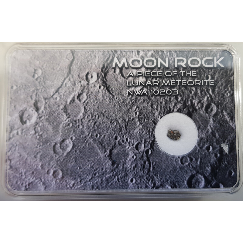 SR-Meteorites Echter Mond Meteorit NWA 10203 XS