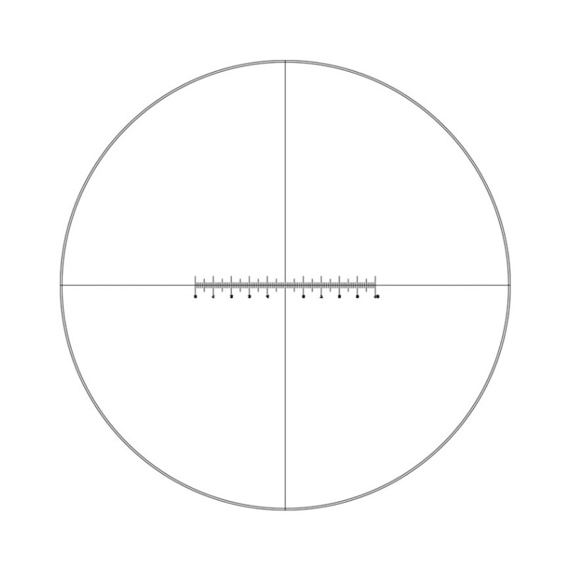 Motic micrometer Eyepiece WF10X/20mm, 10mm /100, crosshair (B3_PL)