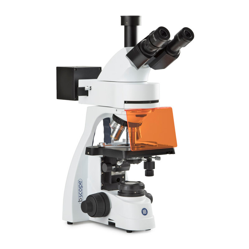 Euromex microscope BS.3153-PLFi, trino, 40x-1000x