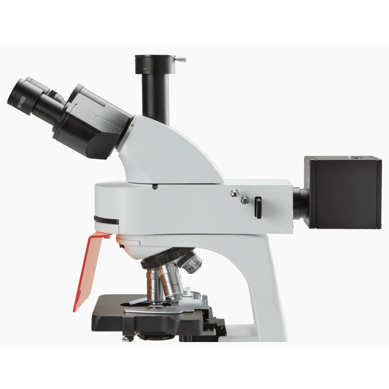 Euromex microscope BS.3153-PLFi, trino, 40x-1000x