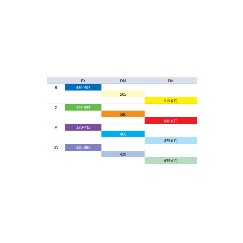 Euromex Microscoop Mikroskop BS.3153-PLFi, trino, 40x-1000x