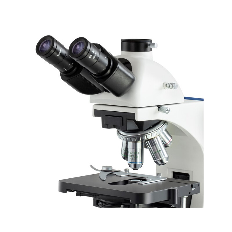 Kern Microscope OBN 159, PH, 1,25 Abbe-Kondensor, infinity, plan, 4x-100x, Dl, 3W LED