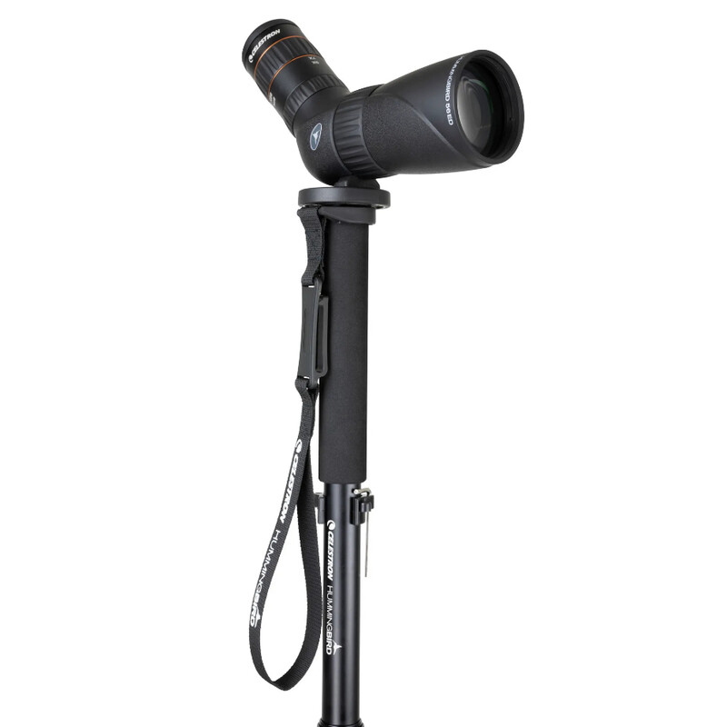 Celestron Monopie de aluminio Hummingbird