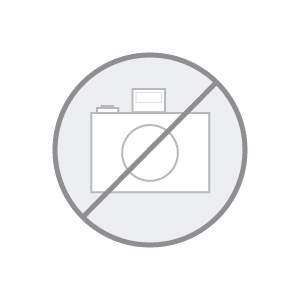 Software Bisque Column Static 18" pier